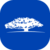 nest wisdomtree vault