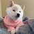 new doge