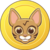 ociswap