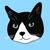 onigiri