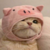 pigcat