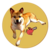 pochita on ethereum