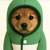 pupfun