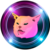 pussy financial