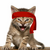 red kitten crew