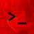 redacted terminal