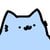 sillynubcat