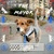 simon for nyc  dog mayor