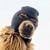 ski mask dog