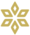 spores network