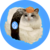suishicat