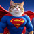 super cat