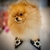 teddyonheels