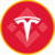 tesla (bstocks tokenized stock)