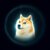 the dogestar