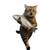 thief cat