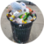 trash coin
