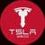tsla6900