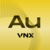 vnx gold