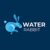 water rabbit