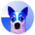 wrapped basedoge