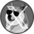 xdoge